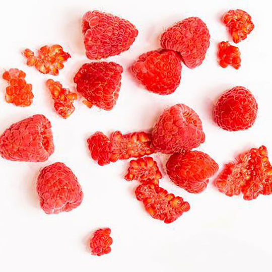raspberries on white background