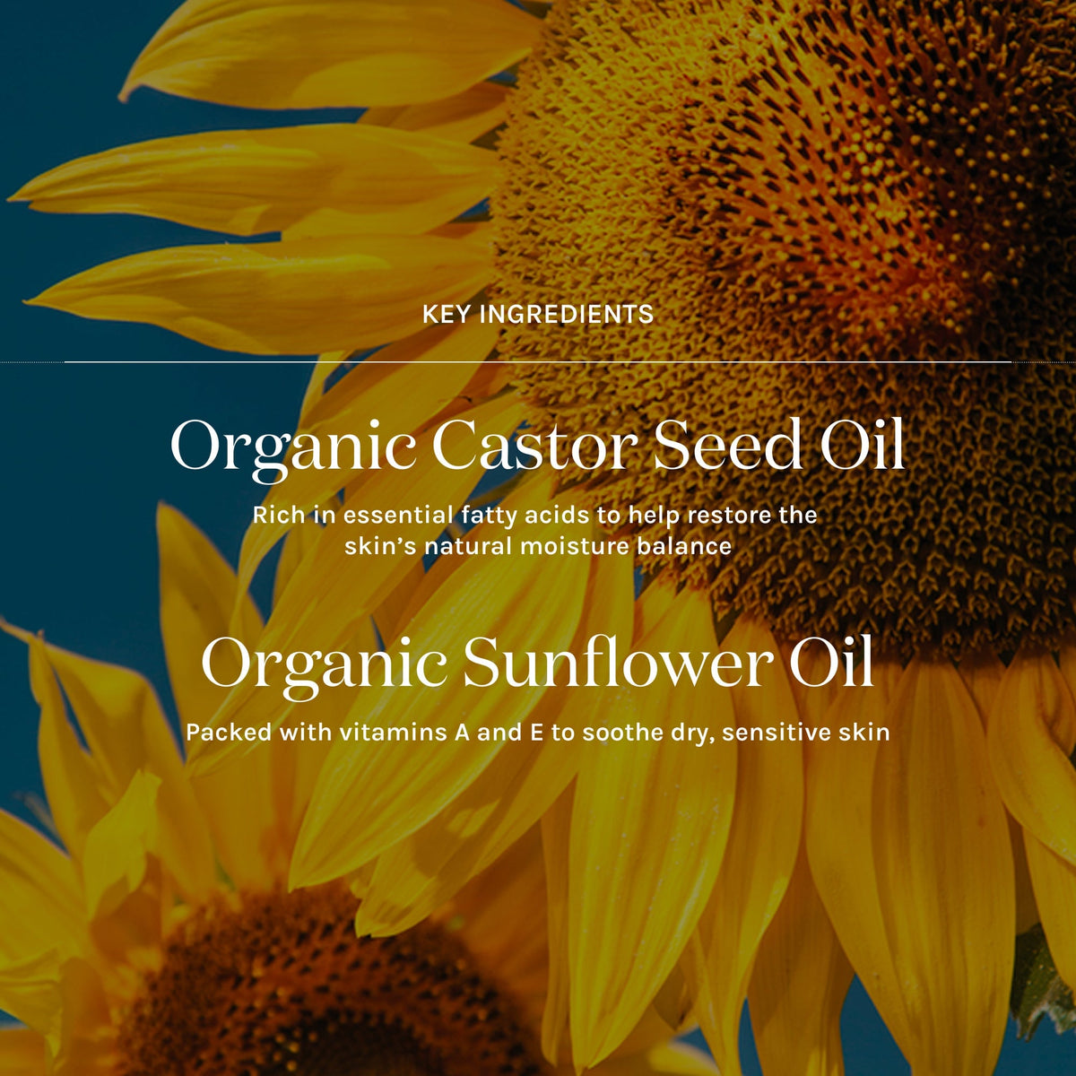 key ingredients in essential cleansing oil