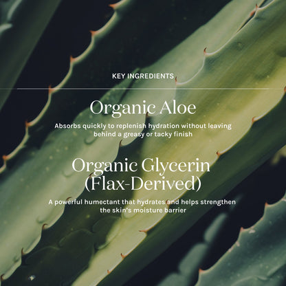 key ingredients in essential hydrating tonic 
